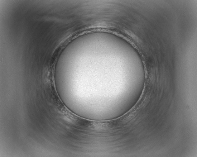 X0000076031258200609290949