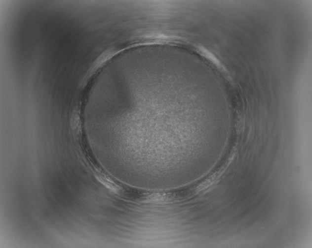 X0000076031259200609290949