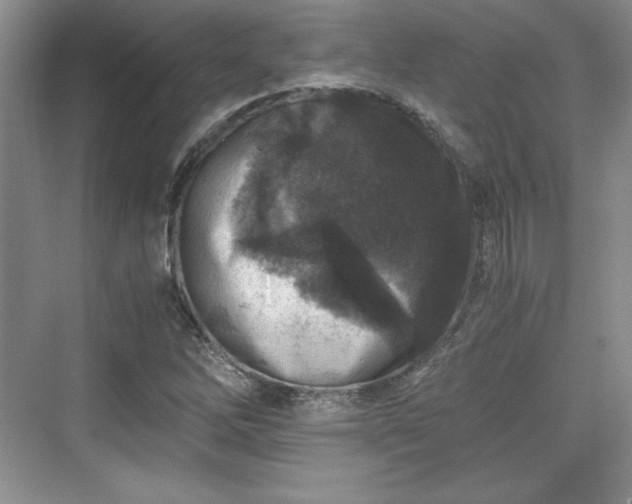 X0000076031262200609290949