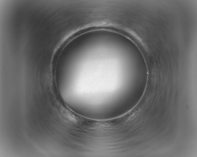 X0000076031270200609290949