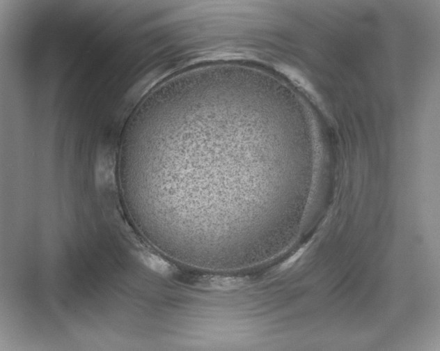 X0000076031273200609290949