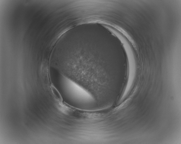 X0000076031289200609290949