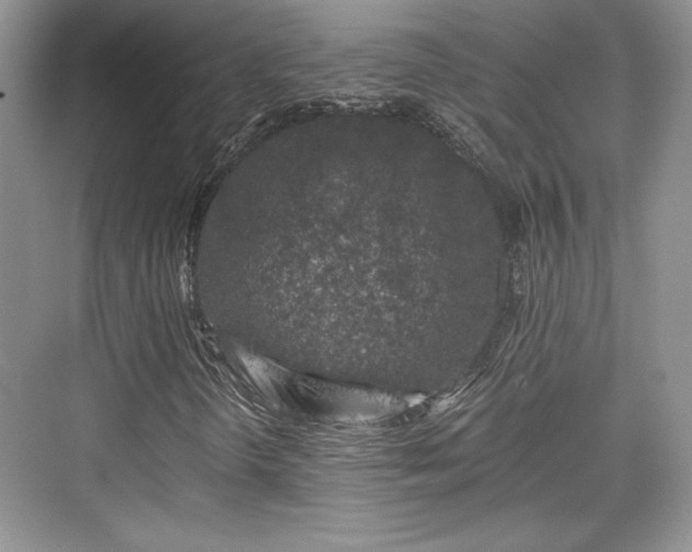 X0000076031298200609290948