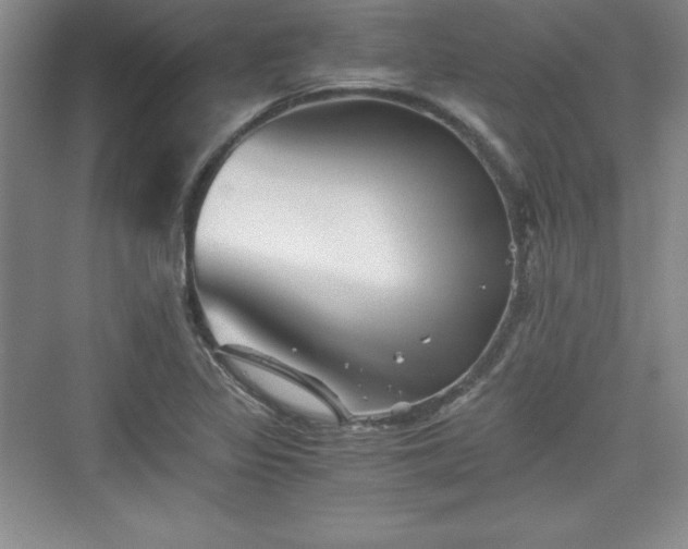 X0000076031317200609290948