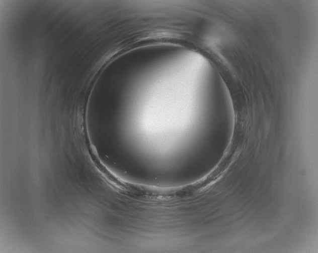 X0000076031321200609290948