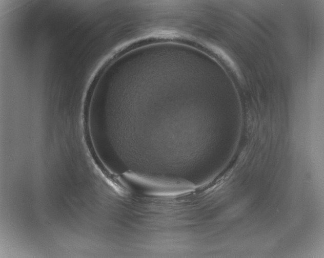 X0000076031327200609290948