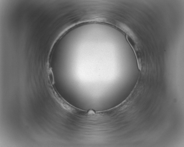 X0000076031332200609290948