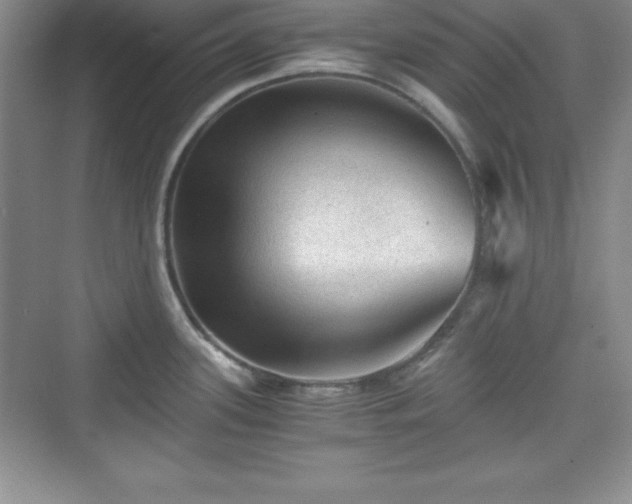 X0000076031339200609290948