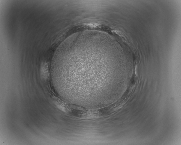X0000076031347200609290948