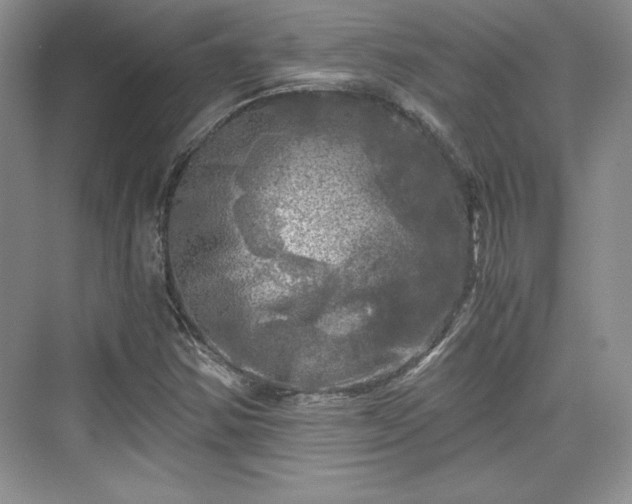 X0000076031354200609290947