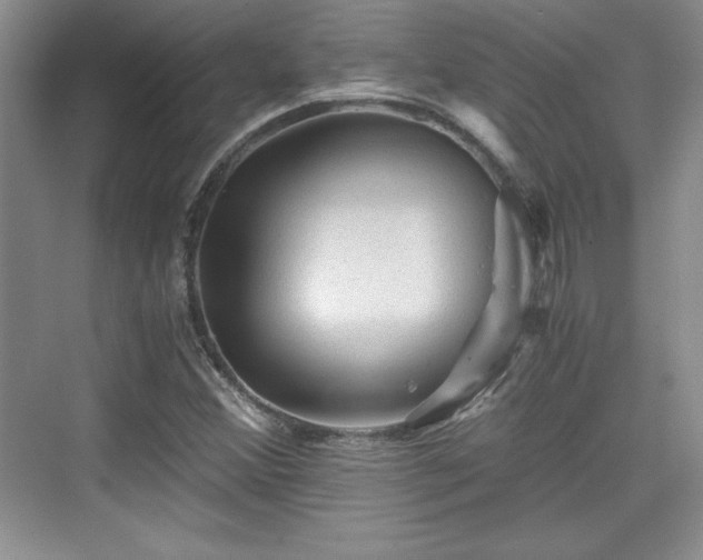 X0000076031356200609290947