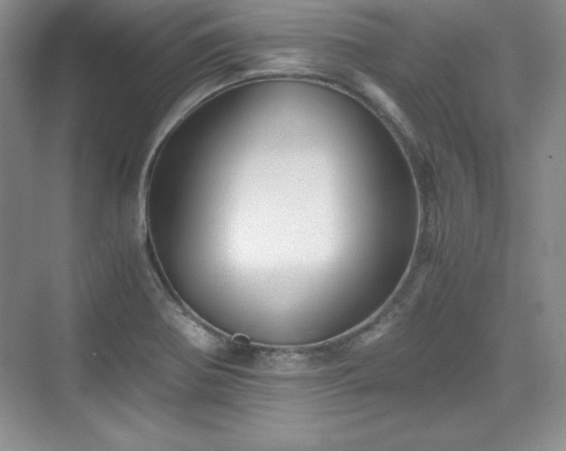 X0000076031370200609290947