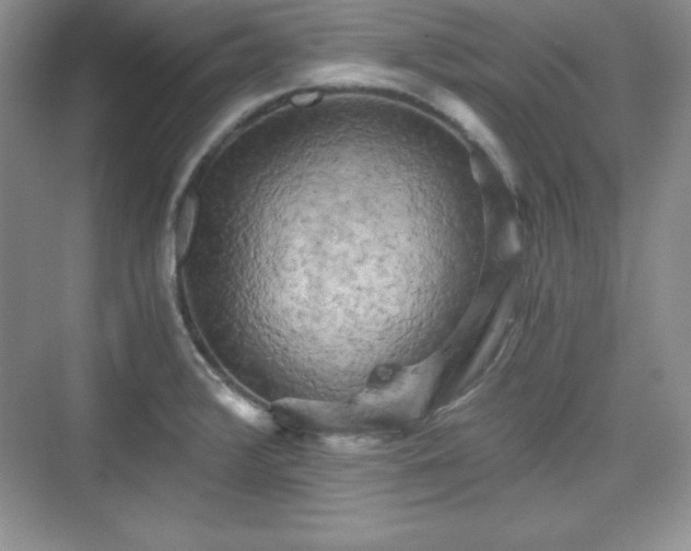 X0000076031376200609290947