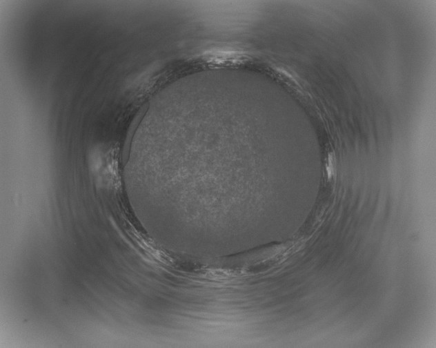 X0000076031396200609290946
