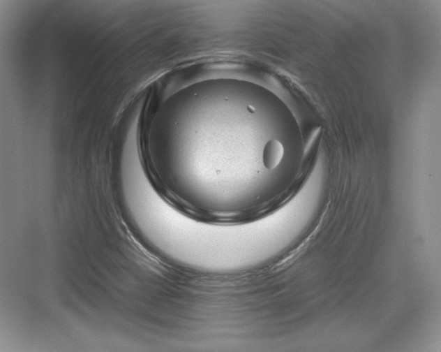 X0000076031402200609290946