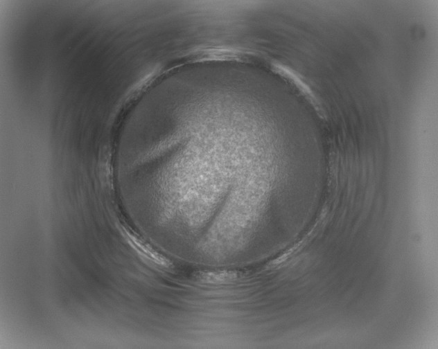 X0000076031403200609290946