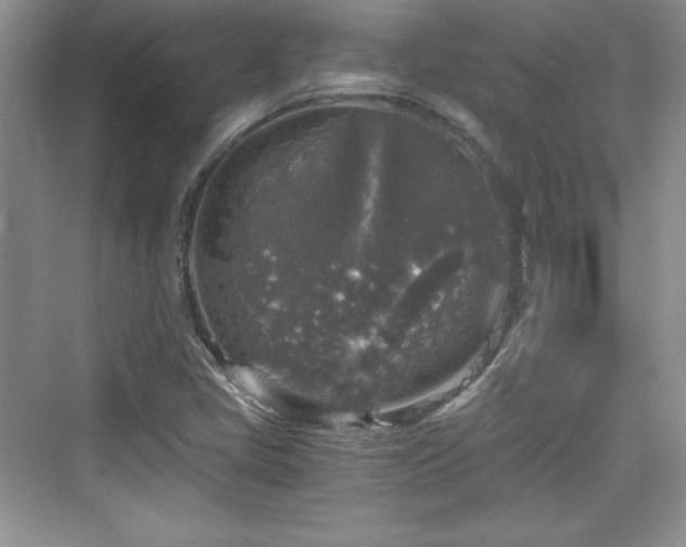 X0000076031405200609290946