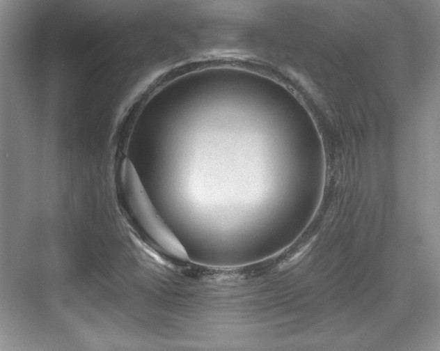 X0000076031406200609290946