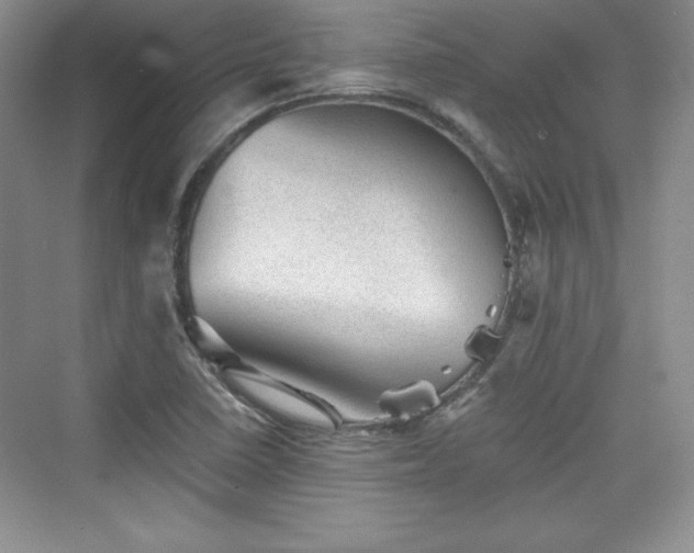 X0000076031410200609290946