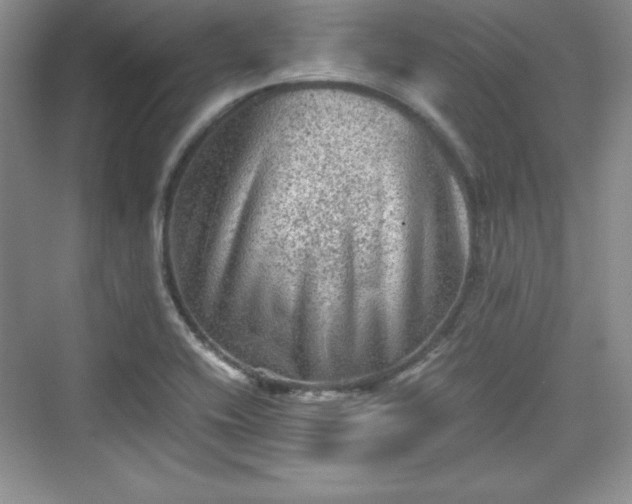 X0000076031416200609290946