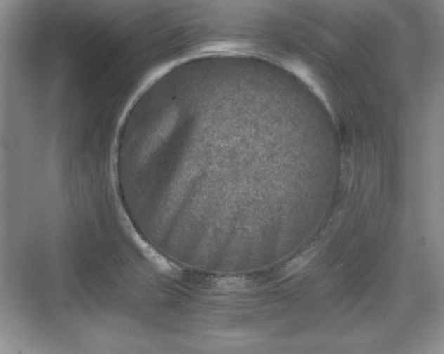 X0000076031421200609290946