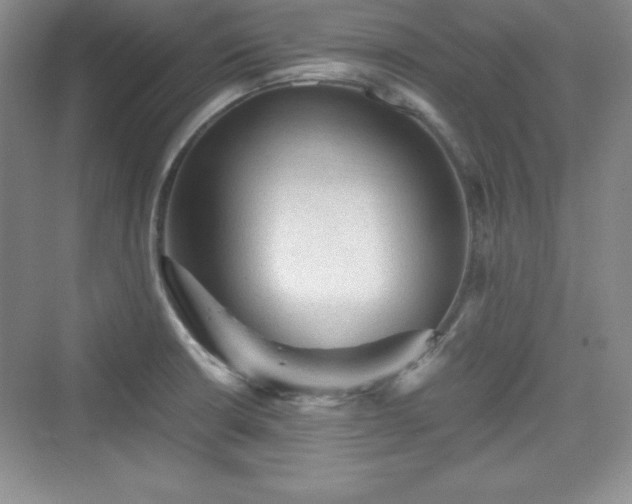 X0000076031426200609290947