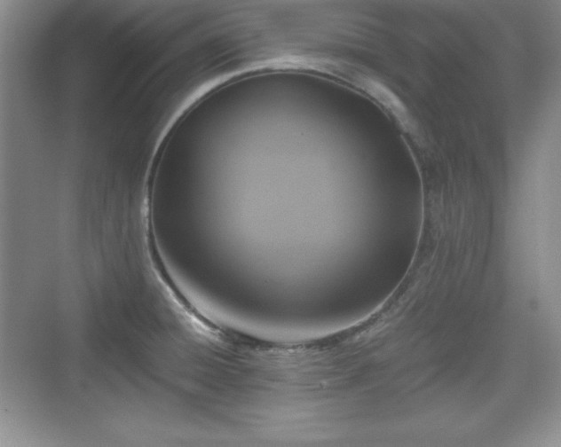 X0000076031428200609290947