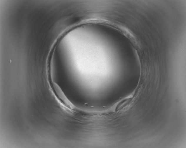 X0000076031430200609290947