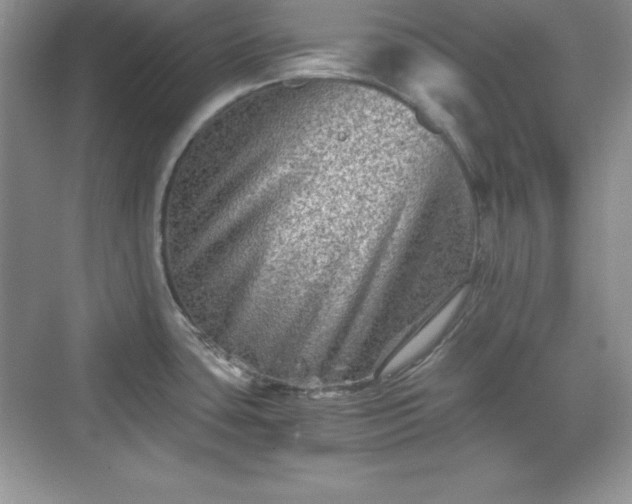 X0000076031435200609290947