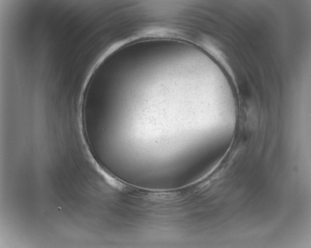 X0000076031437200609290947