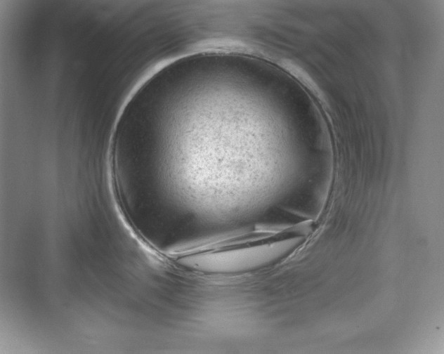 X0000076031440200609290947
