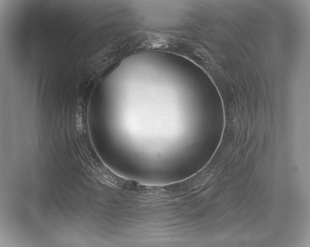 X0000076031442200609290946