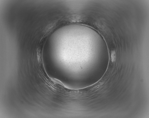 X0000076031444200609290946