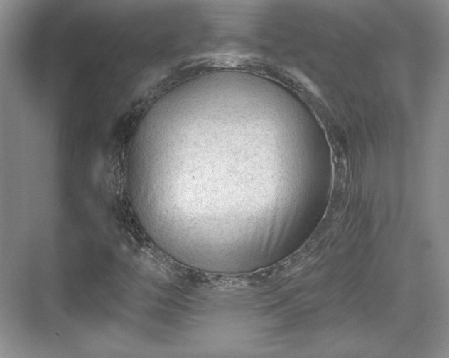 X0000076031446200609290946