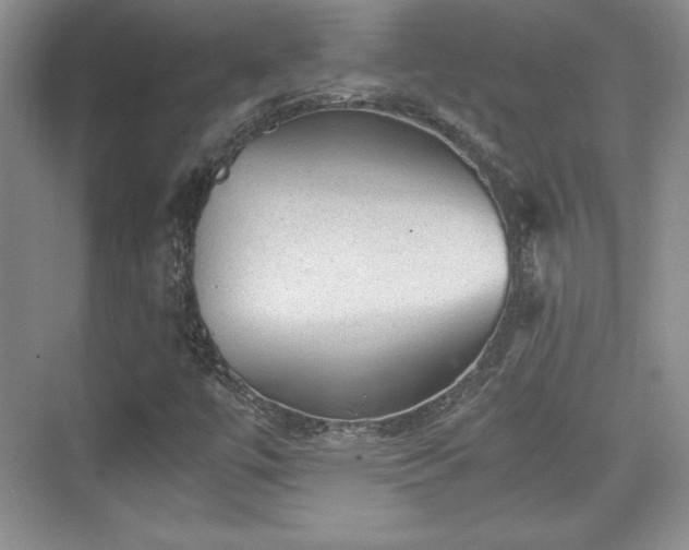 X0000076031447200609290946