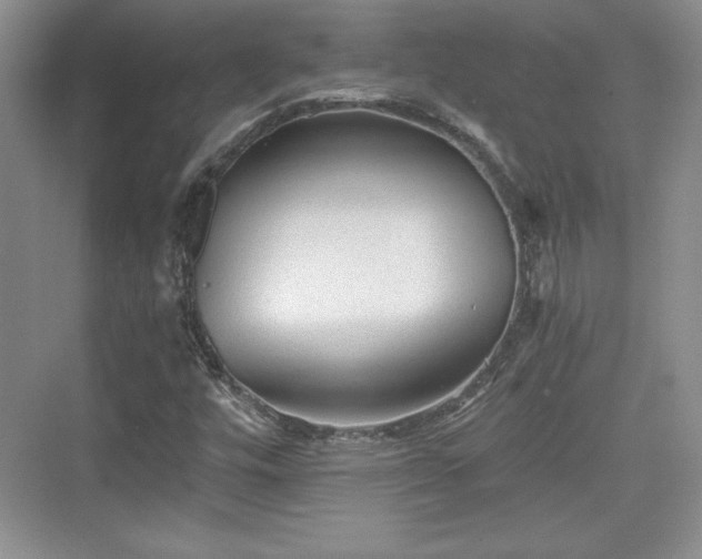 X0000076031448200609290946