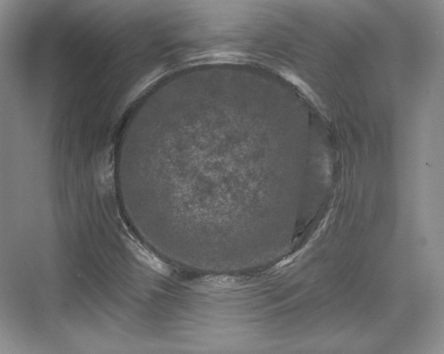 X0000076031450200609290946