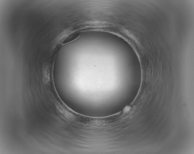 X0000076031451200609290946