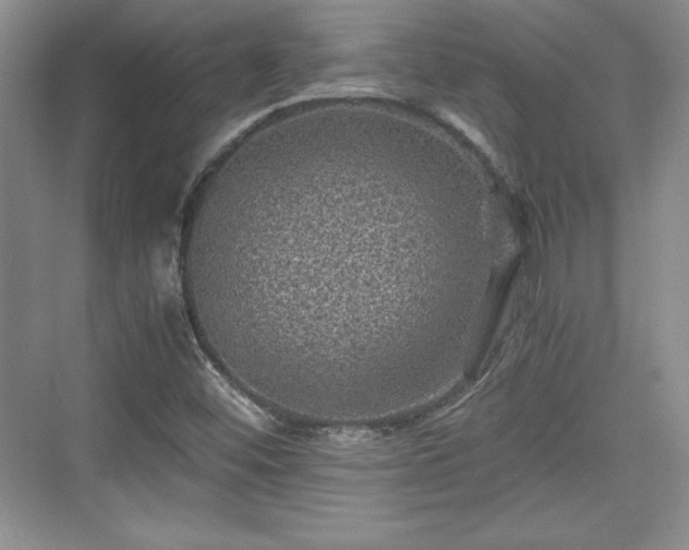 X0000076031452200609290946