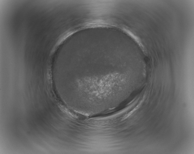 X0000076031453200609290946
