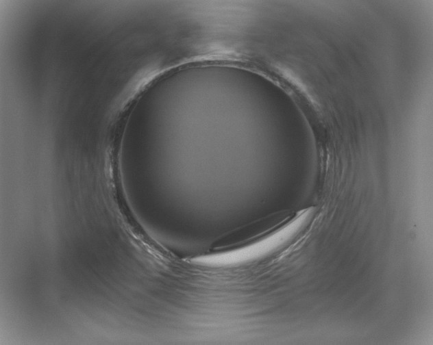 X0000076031455200609290946