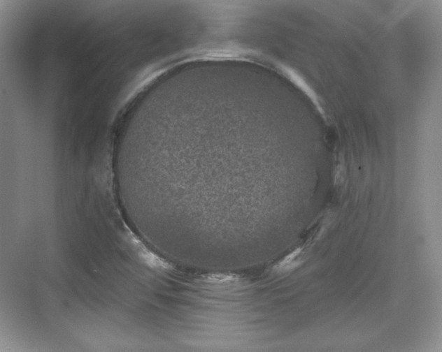 X0000076031456200609290946