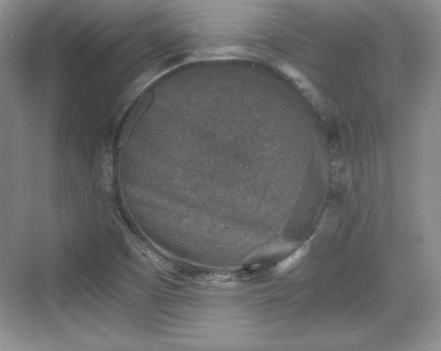 X0000076031457200609290946