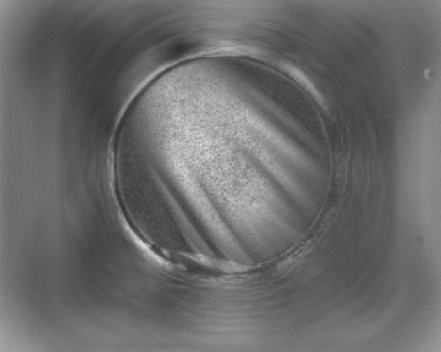 X0000076031476200609290945