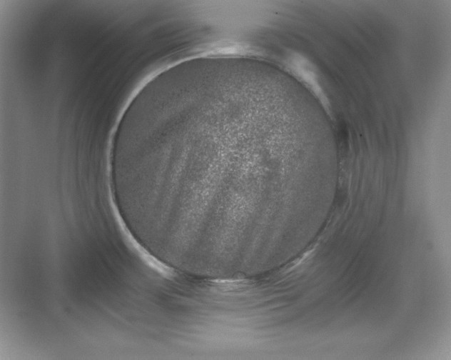 X0000076031483200609290945