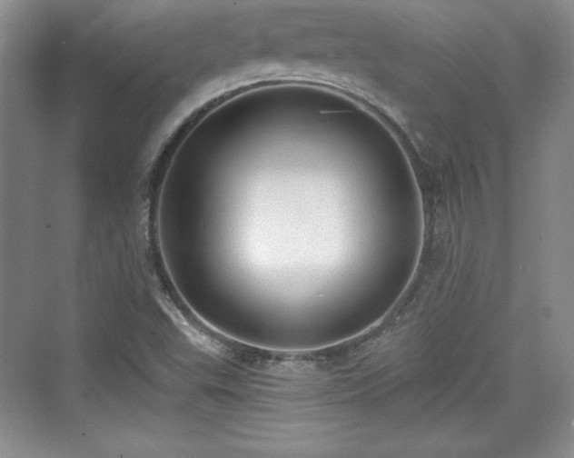 X0000076031503200609290945