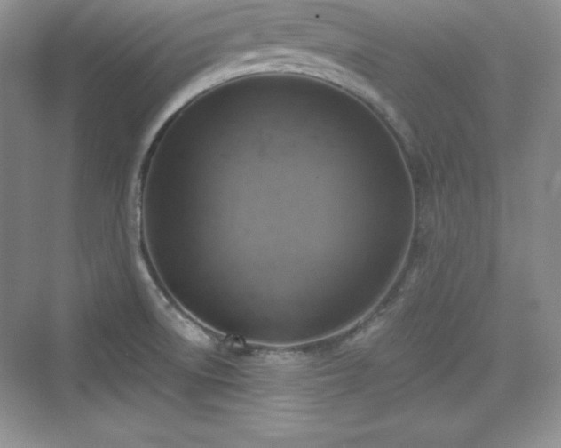 X0000076031522200609290945