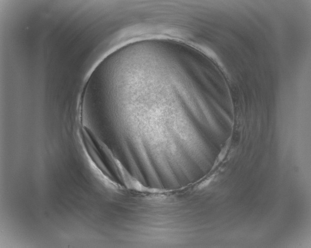 X0000076031524200609290945