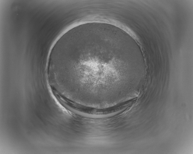 X0000076031536200609290945