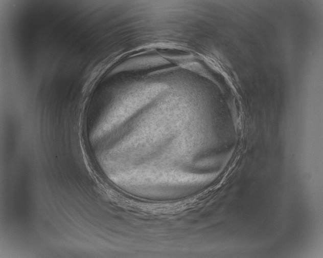 X0000076030001200610061430